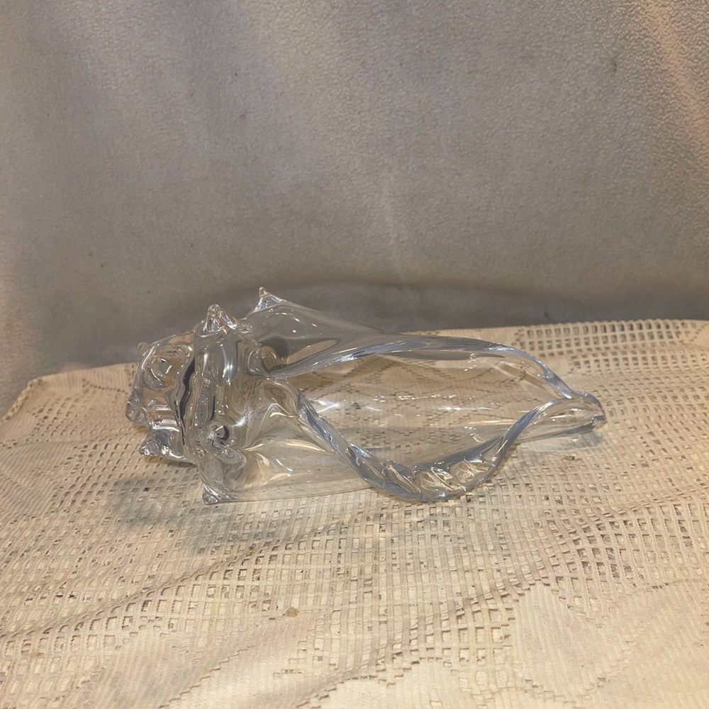 Clear Glass hand blown shell. display by itselff or add succulents for an idea